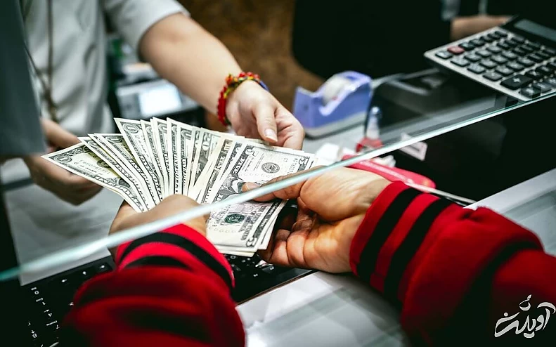 خرید و فروش ارز متوقف شد/ اثر کنسرتها بر قیمت دلار و لیر